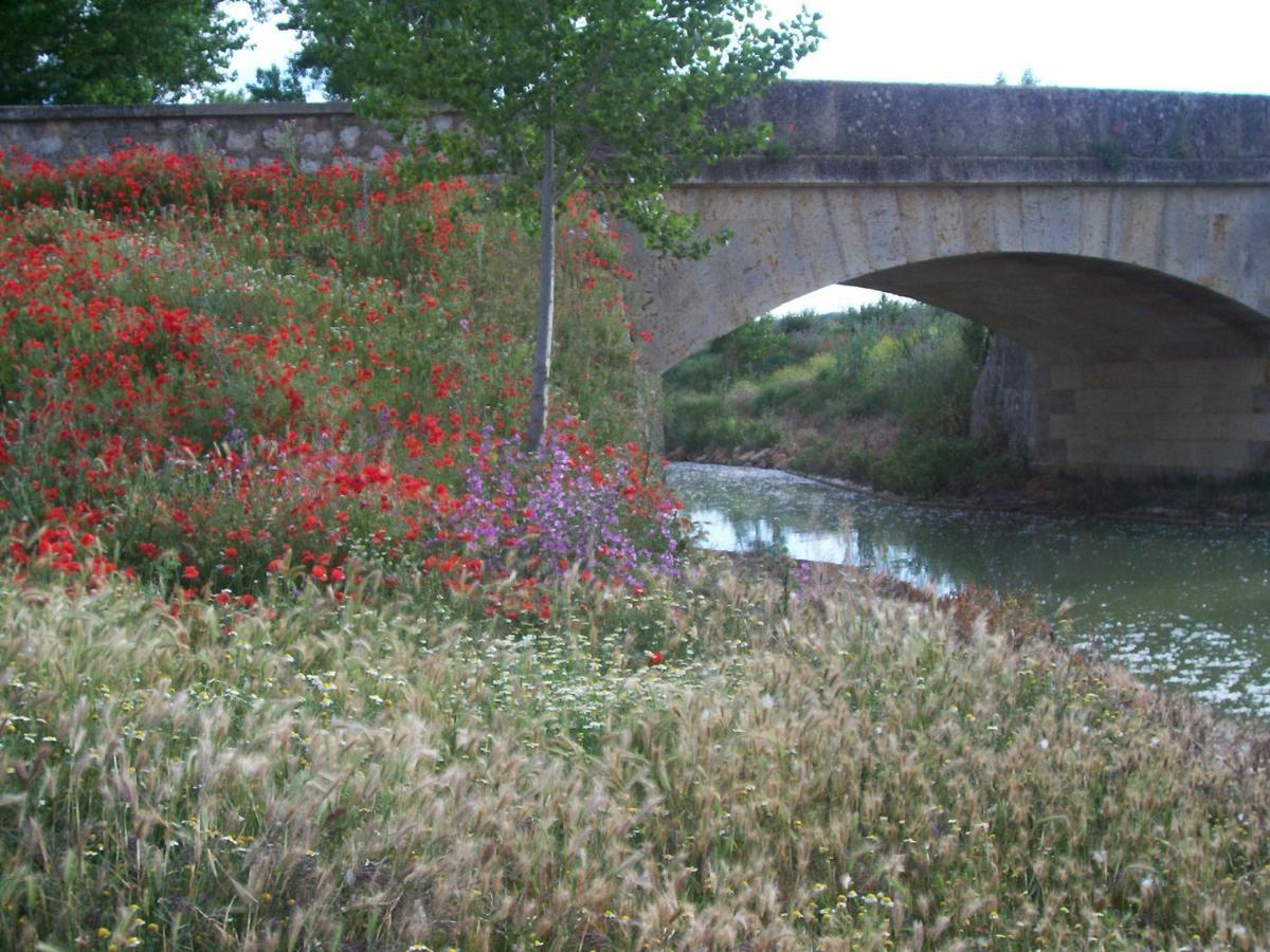 Quinta Del Canal Konuk evi Tamariz de Campos Dış mekan fotoğraf