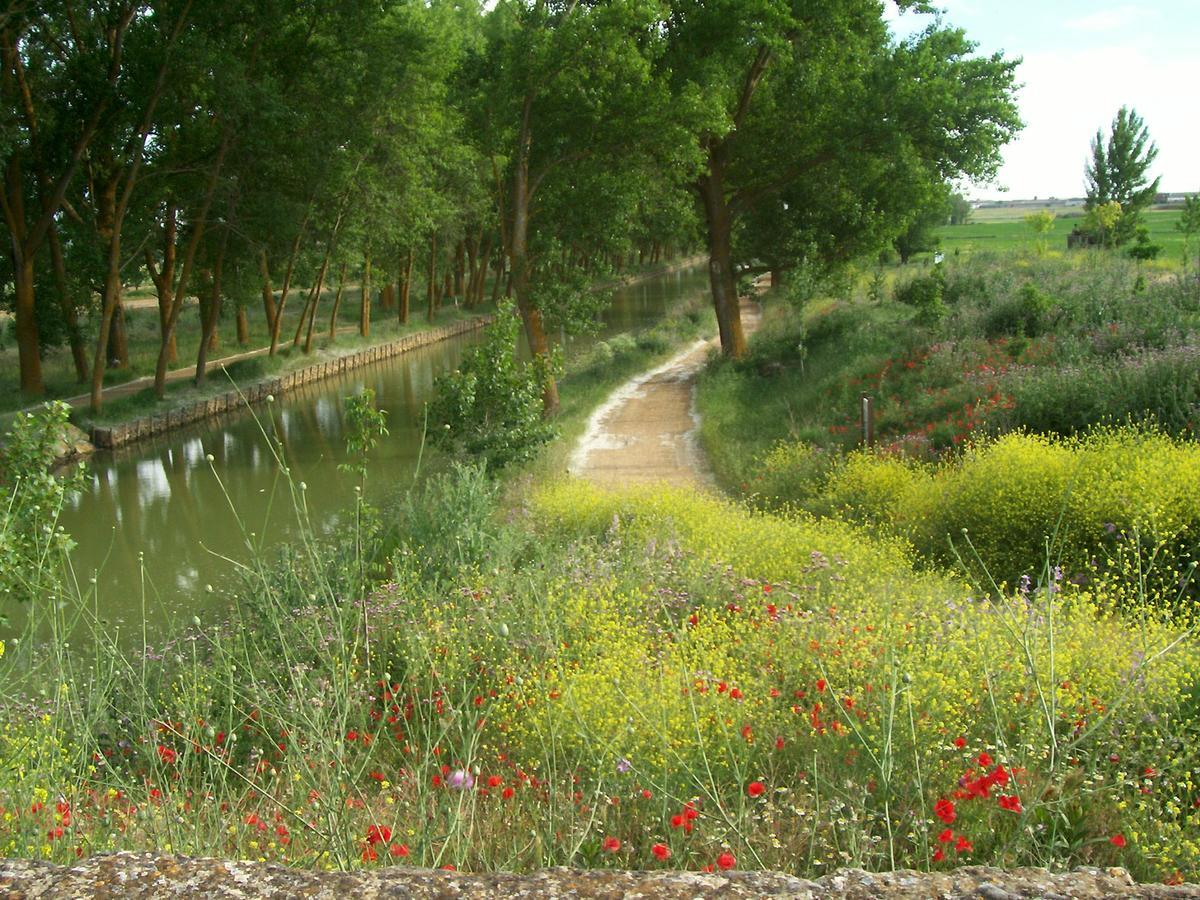 Quinta Del Canal Konuk evi Tamariz de Campos Dış mekan fotoğraf