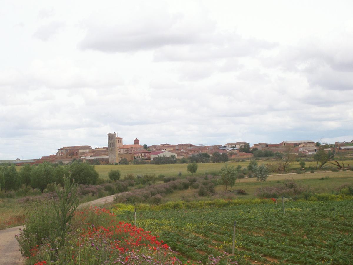 Quinta Del Canal Konuk evi Tamariz de Campos Dış mekan fotoğraf